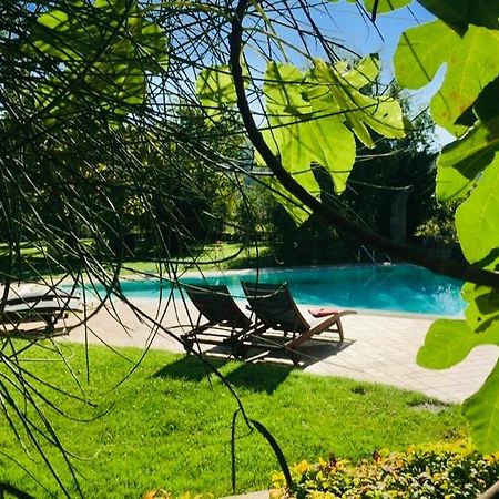 La Taverna Fra Le Colline Ареццо Экстерьер фото
